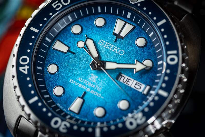 親身體驗Seiko Shellebrate The Sea Turtle的三款全新海龜潛水表